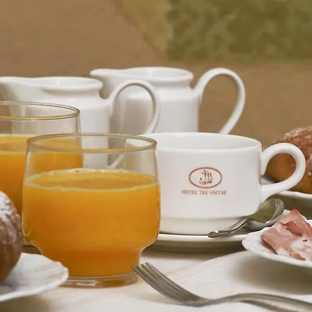 Zanhotel Tre Vecchi فندق